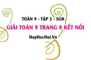 Giải Toán 9 trang 8 tập 1 Kết nối tri thức SGK
